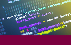 Software and Digital Engineering
